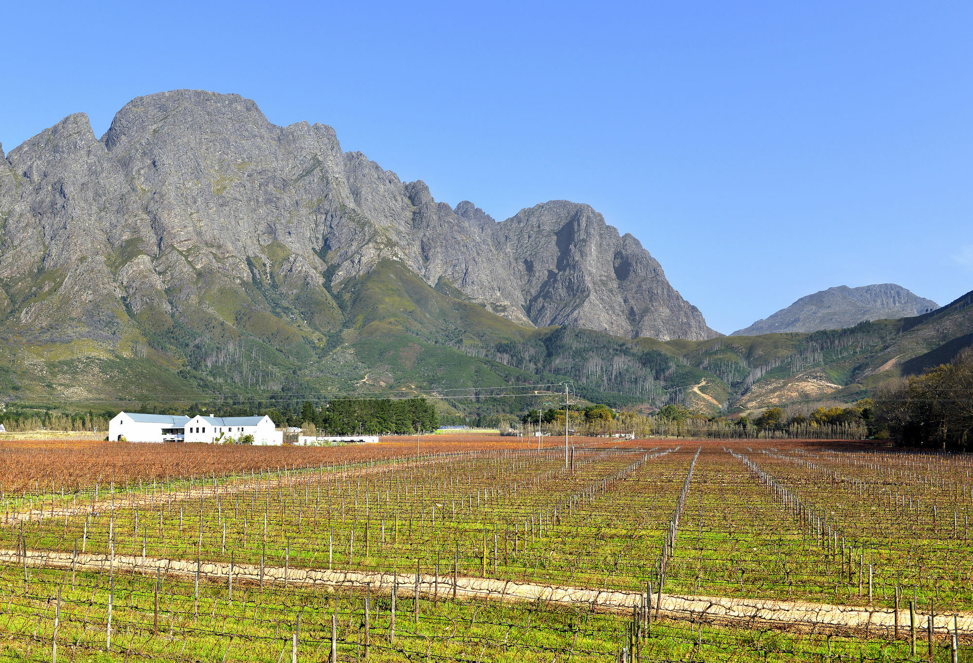 Holden Manz Country House Franschhoek Εξωτερικό φωτογραφία